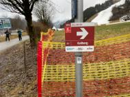 cc953e72-095f-4dae-a43d-145ededf35de